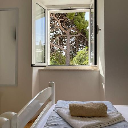 Tree Lejlighed Dubrovnik Eksteriør billede