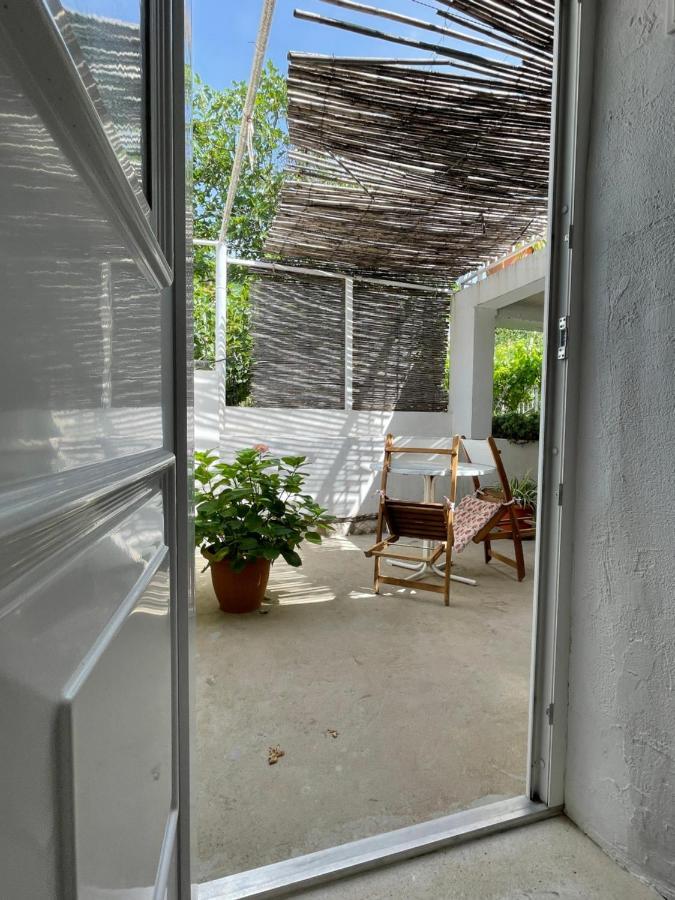 Tree Lejlighed Dubrovnik Eksteriør billede
