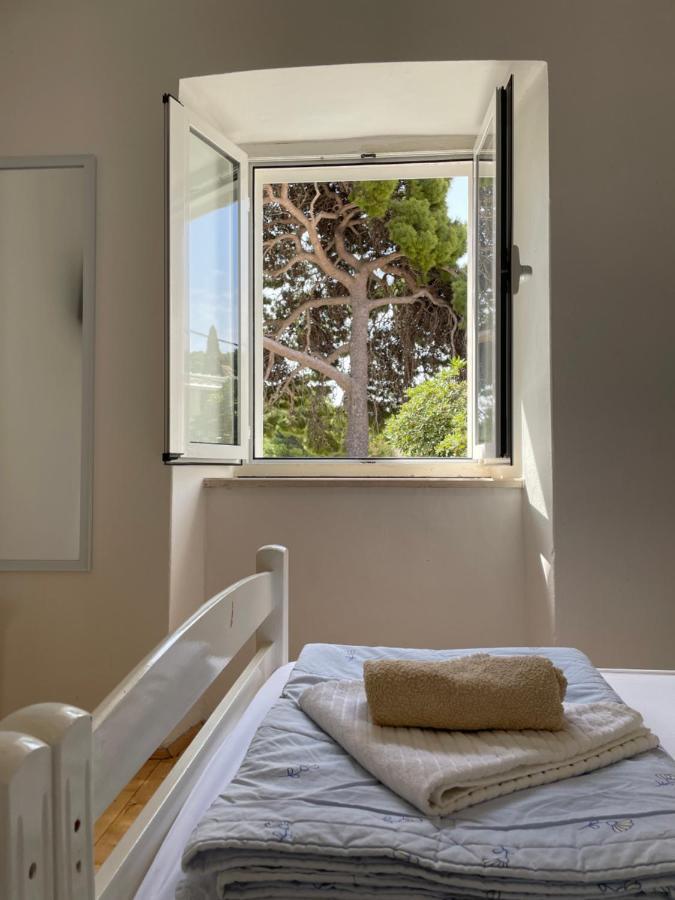 Tree Lejlighed Dubrovnik Eksteriør billede